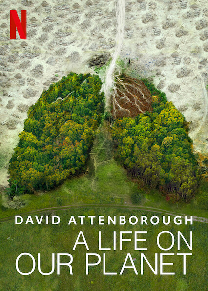 David Attenborough: A Life on Our Planet (2020)